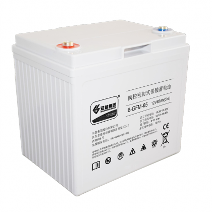 双登6-GFM-65